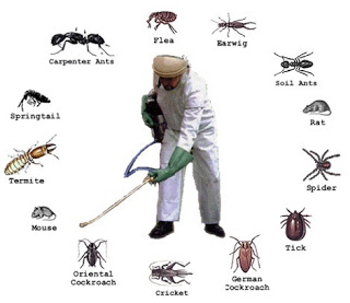 diệt côn trùng